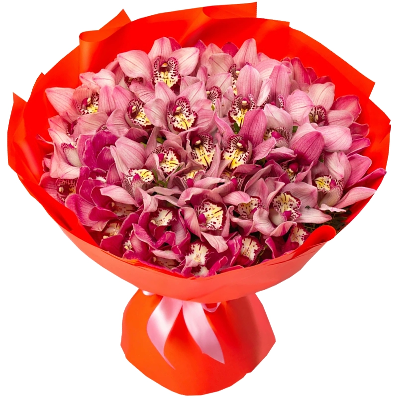 Букет из 51 розовой орхидеи